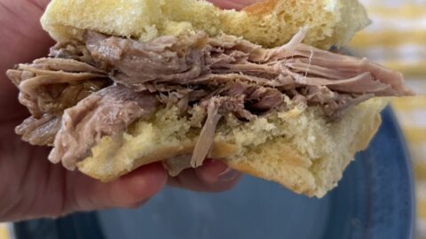 slider with pulled pork being held in a hand.