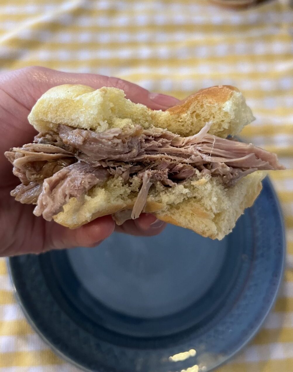 slider with pulled pork being held in a hand.