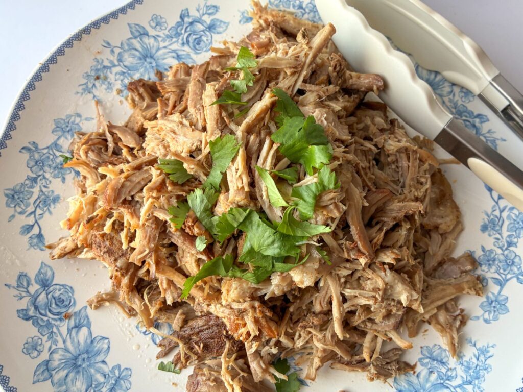 pulled pork on a plate