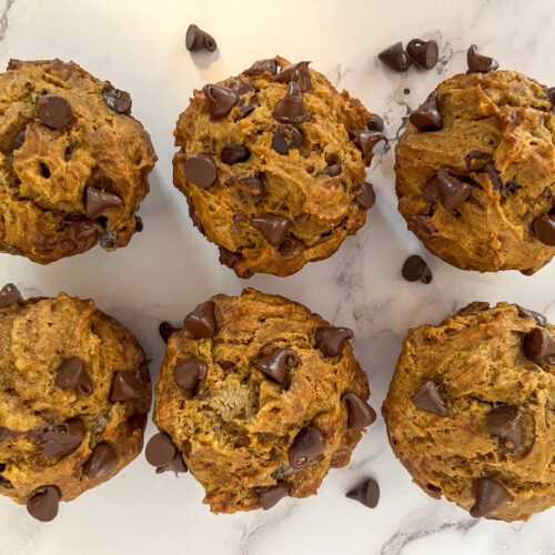 Fresh out of the oven pumpkin chocolate chip sourdough discard muffins