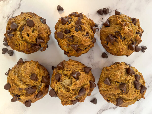 Fresh out of the oven pumpkin chocolate chip sourdough discard muffins