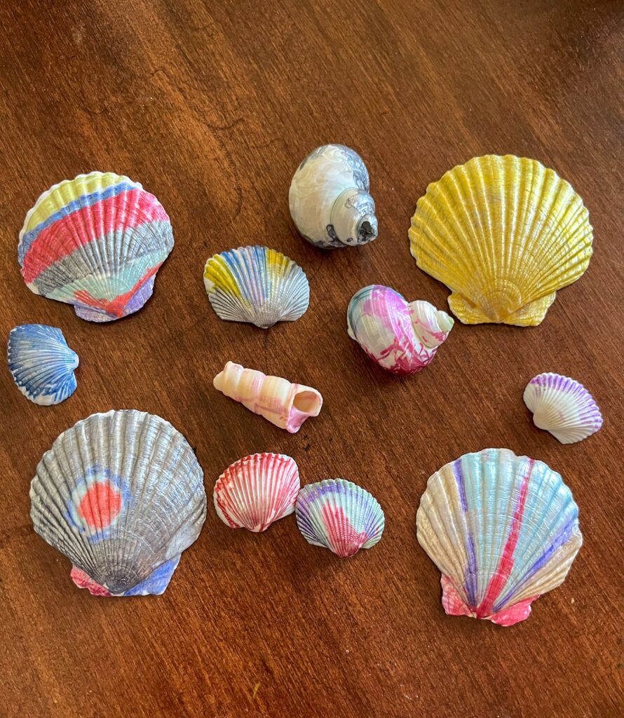 Painted seashells laid out on a table