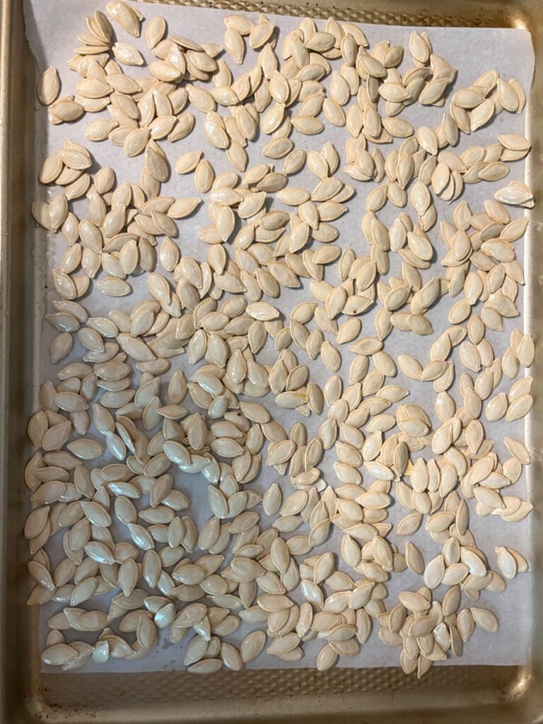 pumpkin seeds laying on a baking sheet