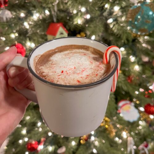 Peppermint hot chocolate being held in front of a Christmas tree with a candy cane hanging on the side.