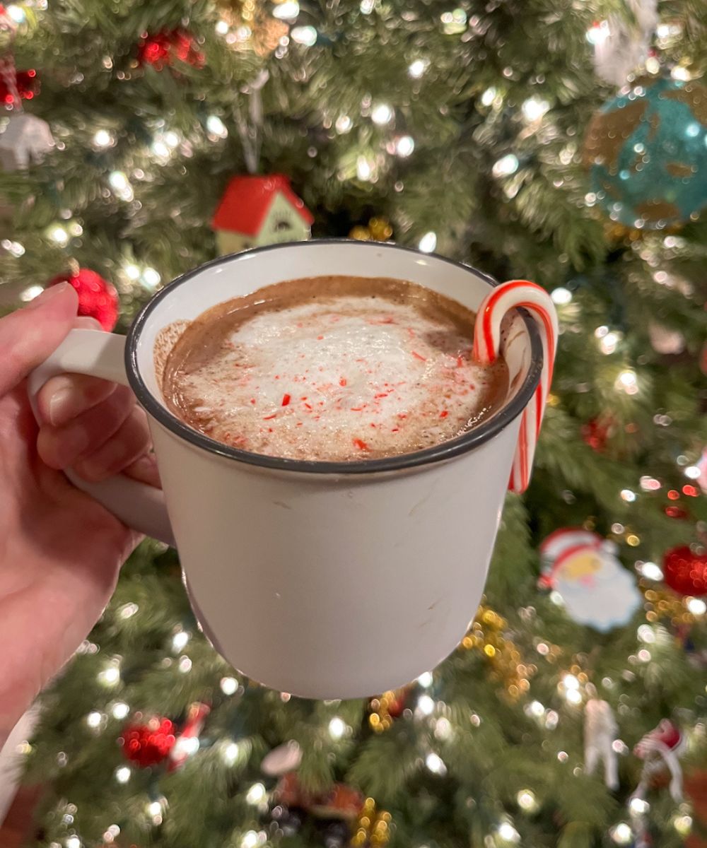 Peppermint hot chocolate being held in front of a Christmas tree with a candy cane hanging on the side.