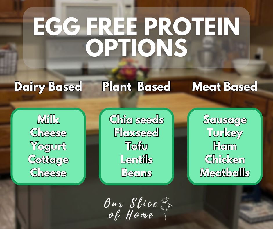 A graphic with 3 sections listing plant based, dairy based, meat based proteins