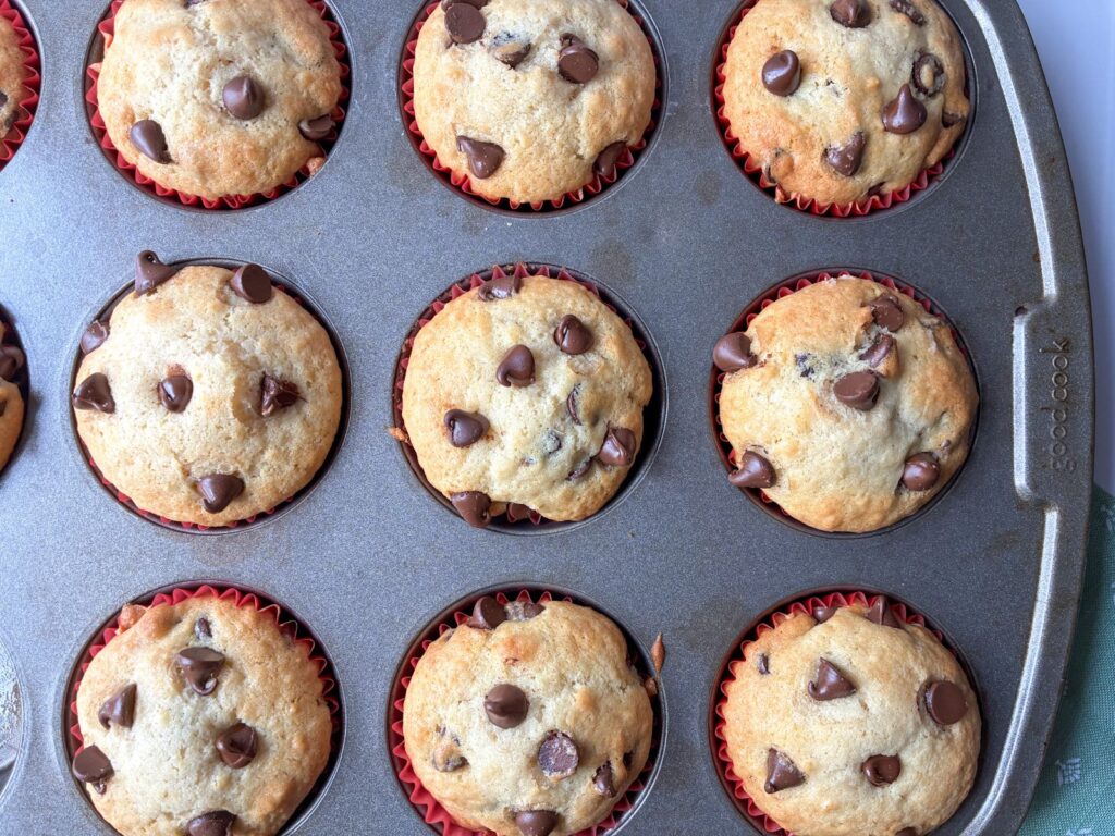 Eggless chocolate chip muffins fresh out of the oven