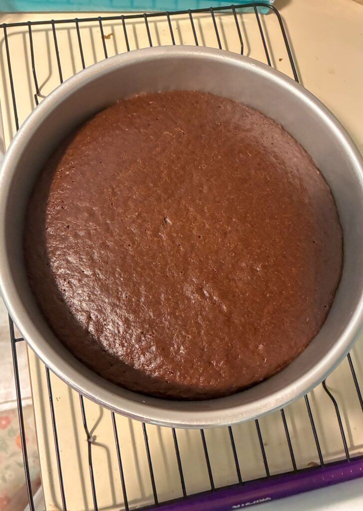 eggless chocolate cake in cake pan fresh out of the oven